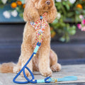 4ft Rope Lead - Royal Blue
