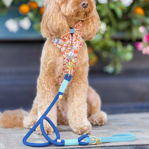 4ft Rope Lead - Royal Blue