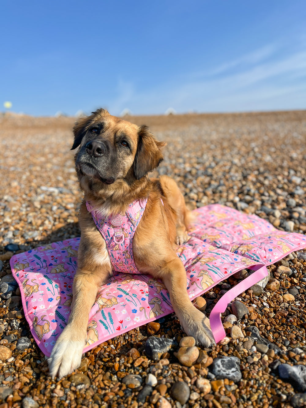 Disney© Travel Mat - Nala