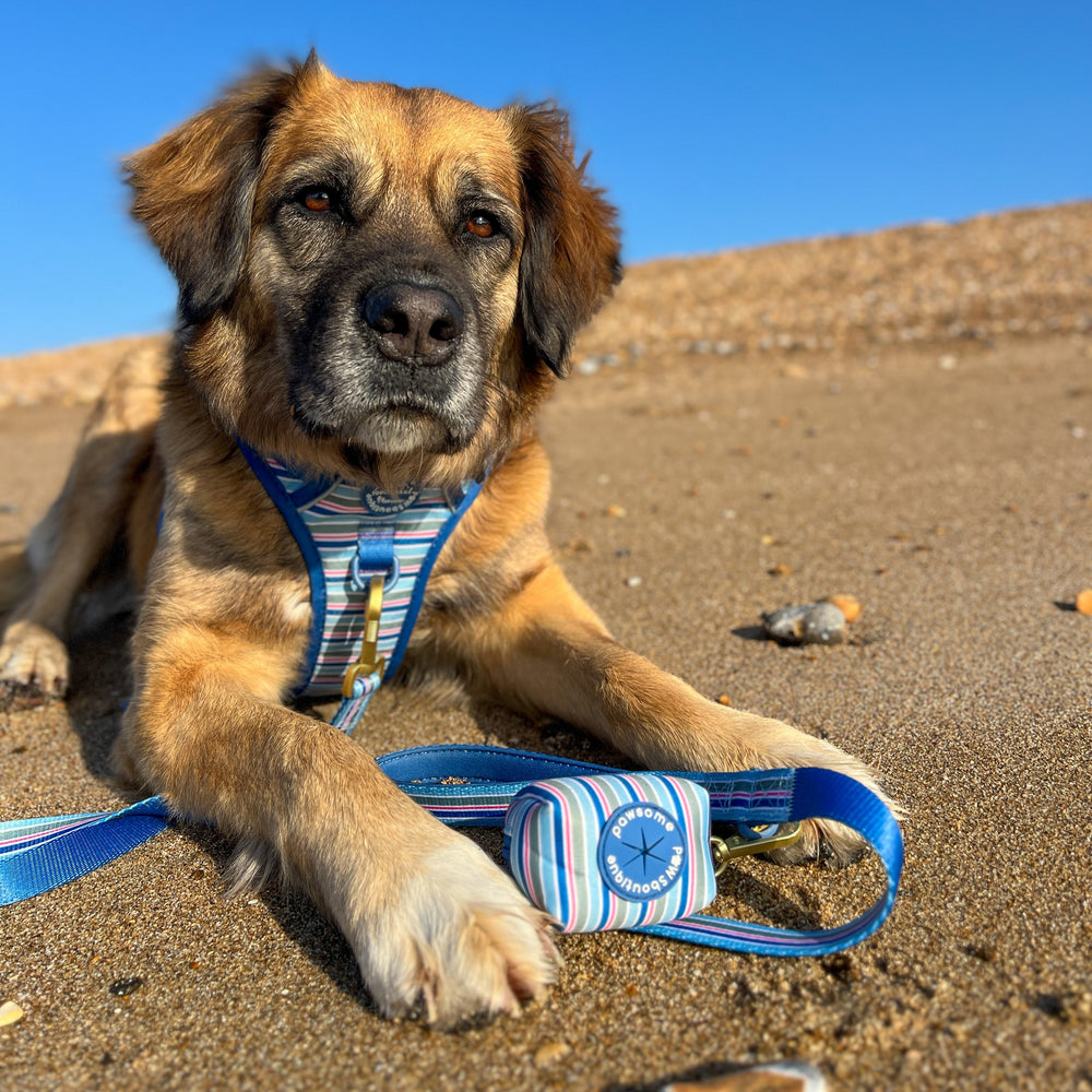 Poo Bag Holder - Sailor Stripes