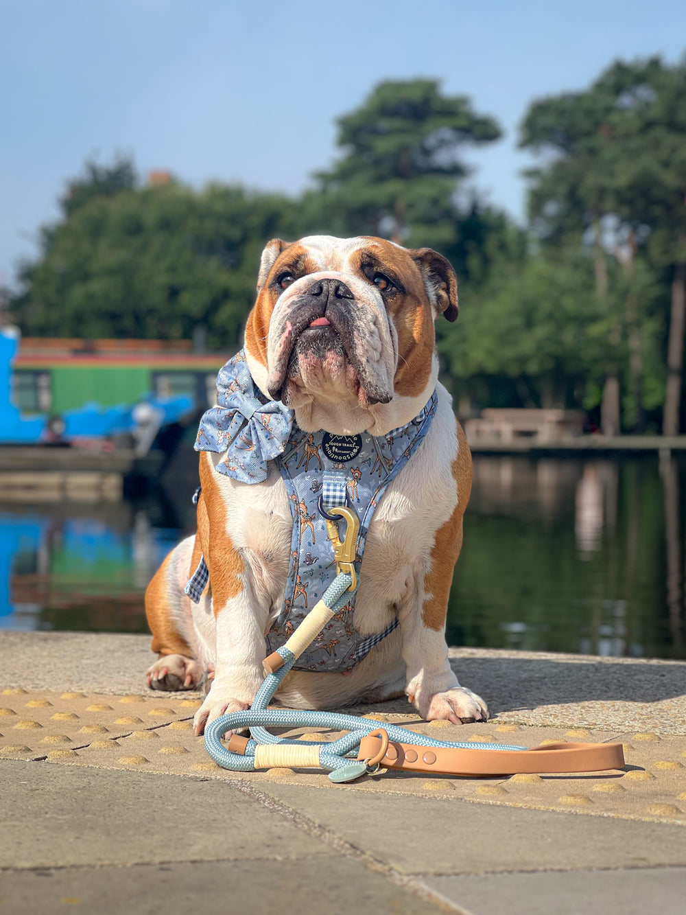 Disney© Sailor Bow Tie - Bambi + Friends Blue