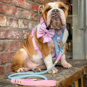 Disney© 4ft Rope Lead - Mad Hatters Tea Party