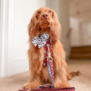 Disney© AdjustFit Lead - 101 Dalmatians