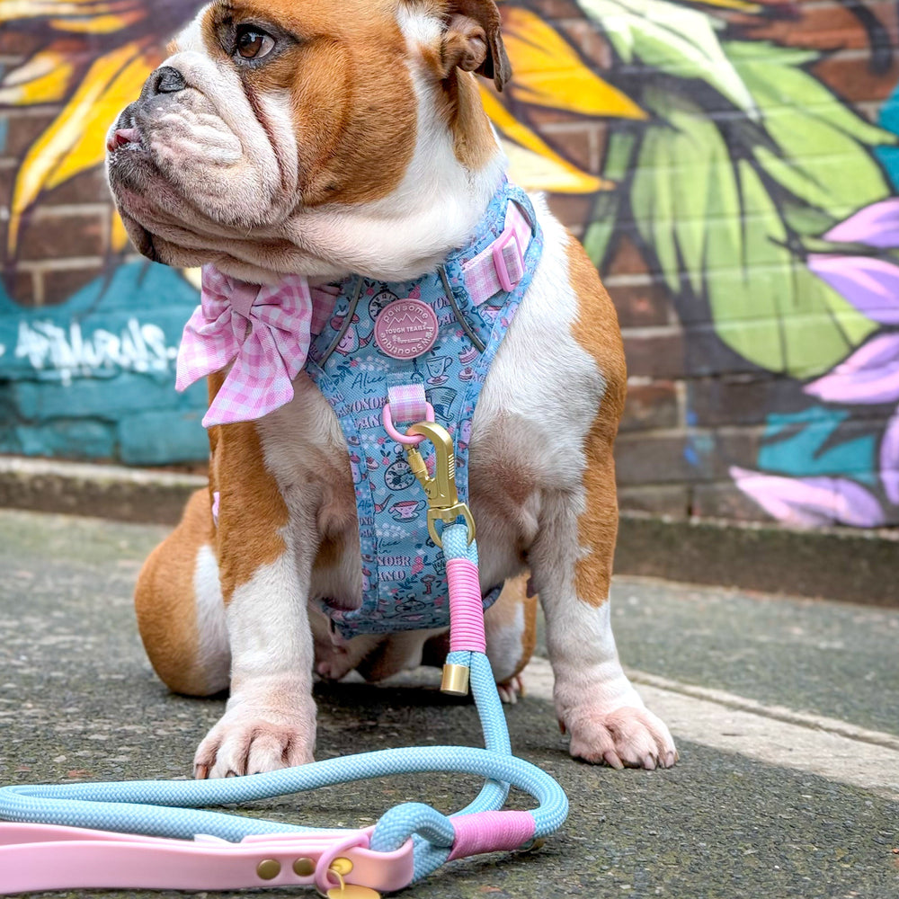 Disney© 4ft Rope Lead - Mad Hatters Tea Party