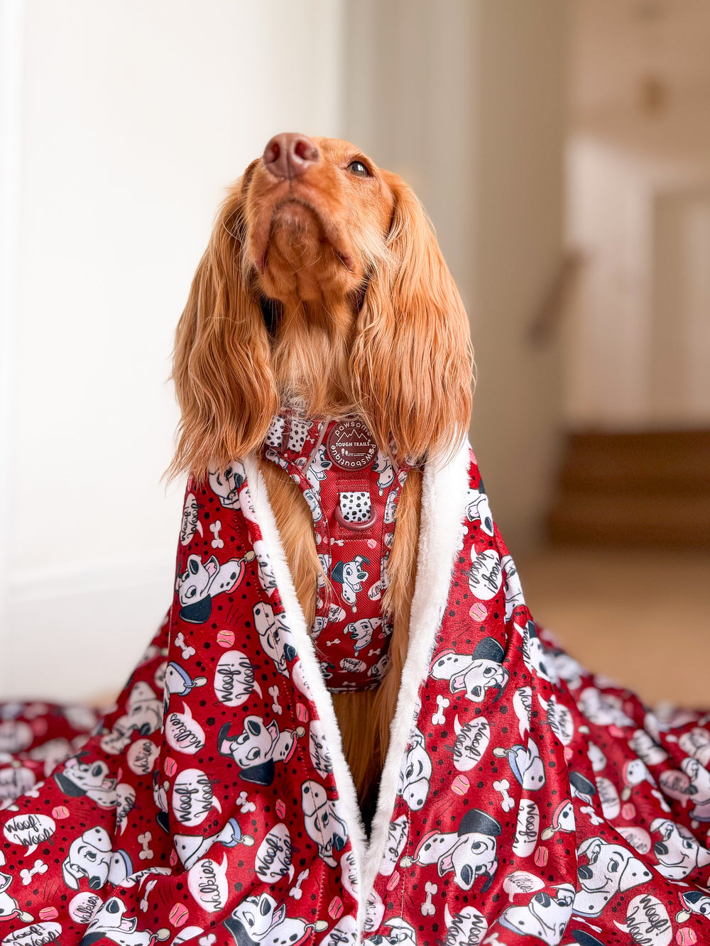 Disney© Dog Blanket - 101 Dalmatians