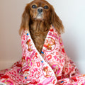 Disney© Dog Blanket - Jessie