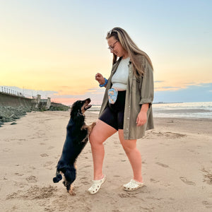 Disney© Treat + Go Bag - Lion Friends