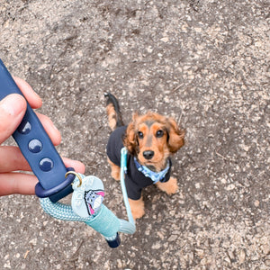 Disney© Collar/Lead Charm - Eeyore