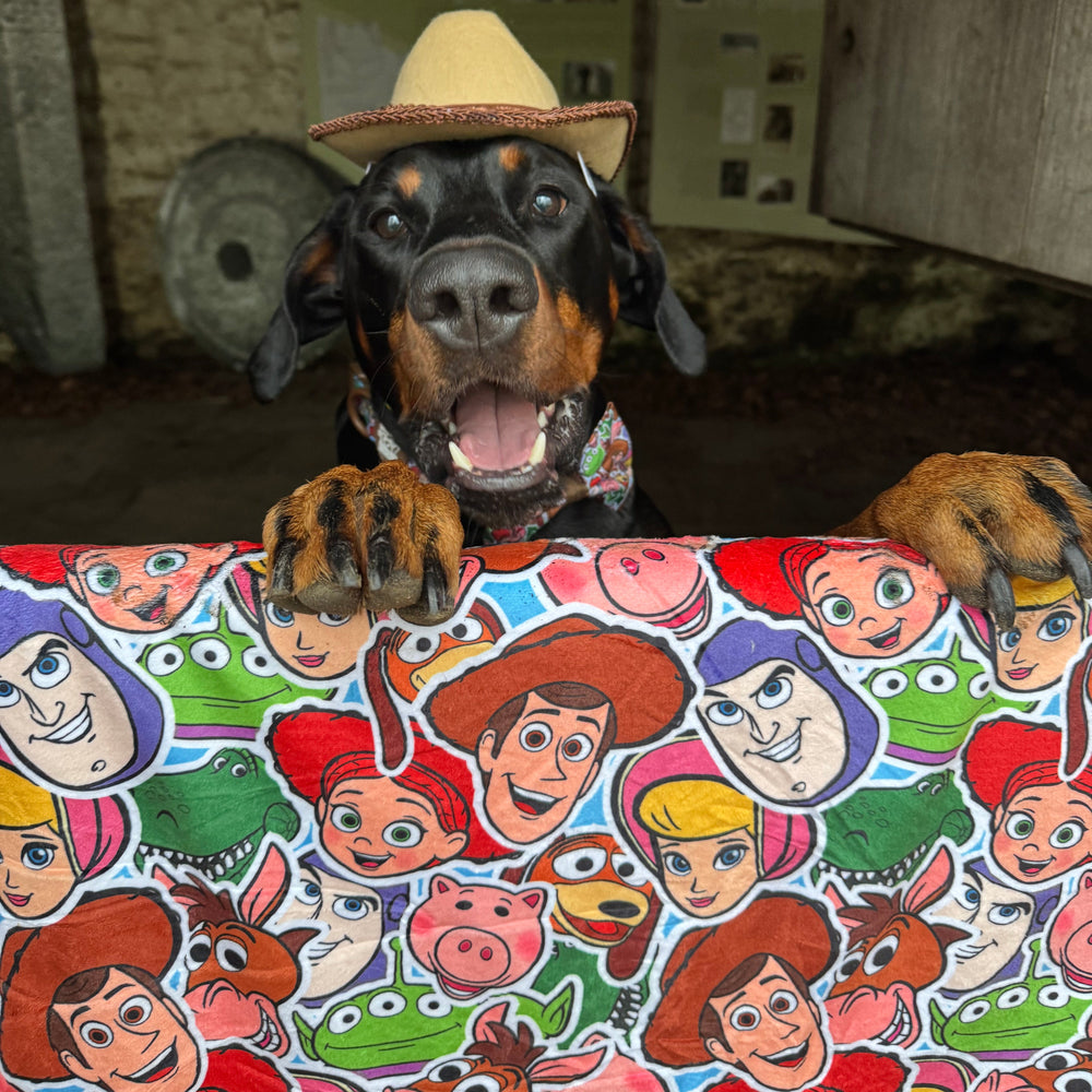 Disney© Dog Blanket - Toy Story Friends