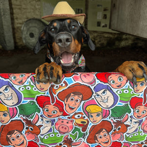Disney© Dog Blanket - Toy Story Friends