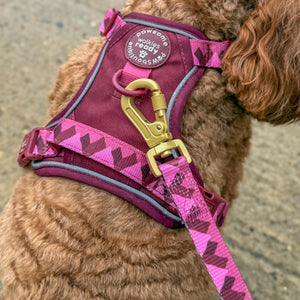 Lead - Walkies Ready® Mulberry