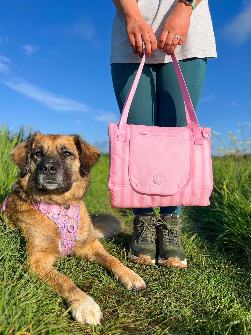 Disney© Travel Mat - Nala