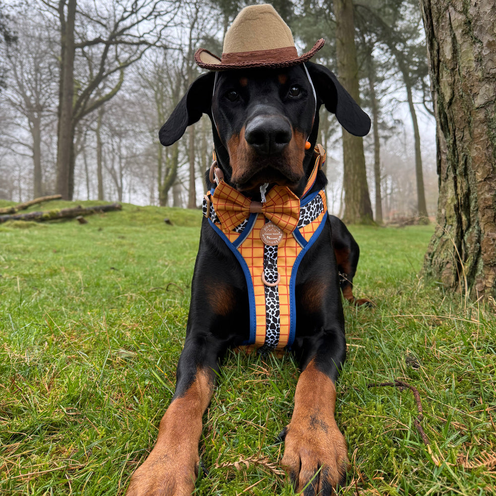 Disney© Bow Tie - Woody