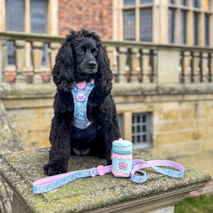 Disney© Treat Pouch - Mad Hatters Tea Party