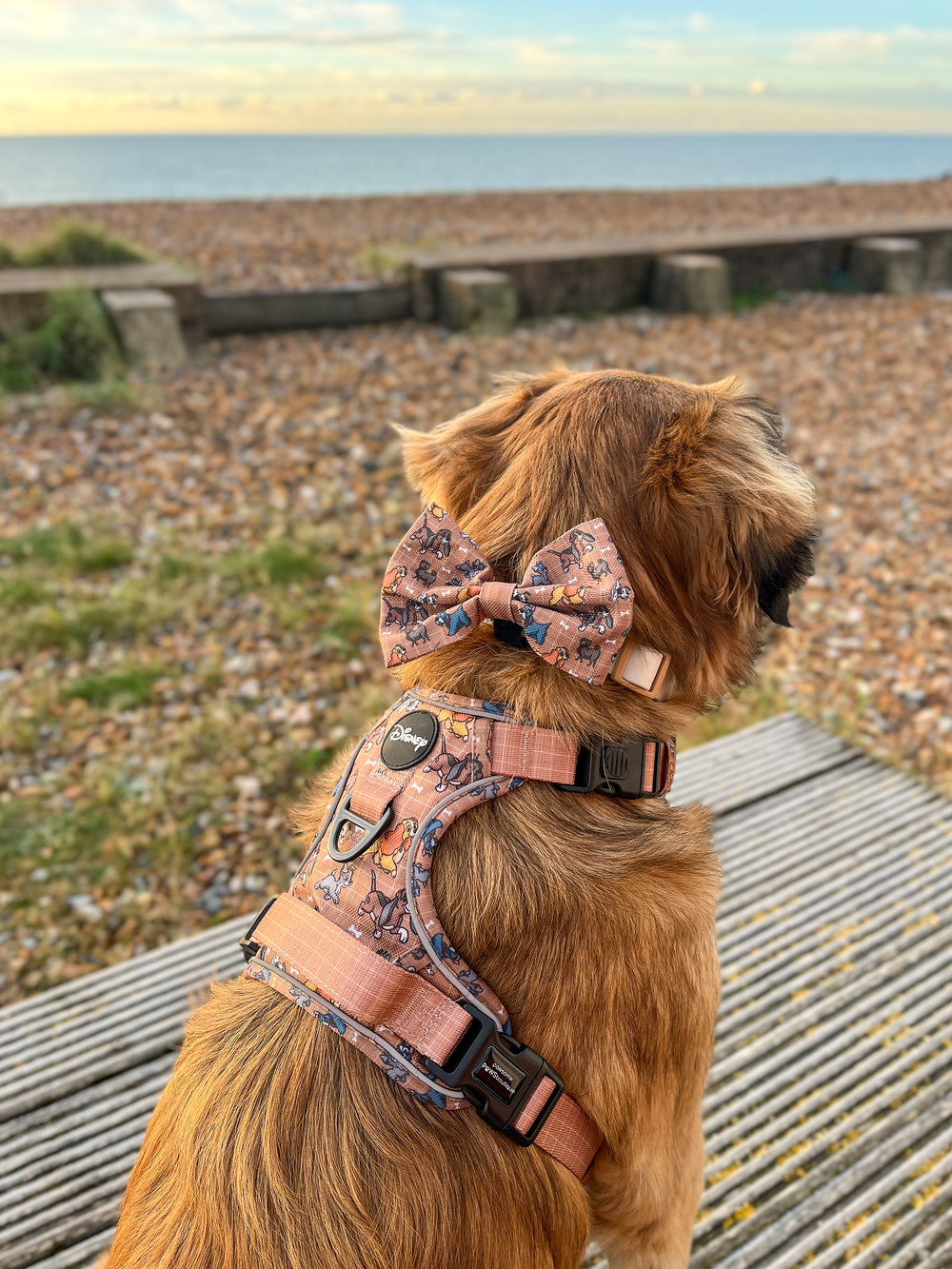 Disney© Bow Tie - Disney Dogs