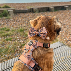 Disney© Bow Tie - Disney Dogs