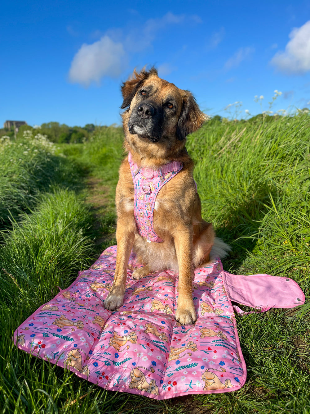 Disney© Travel Mat - Nala