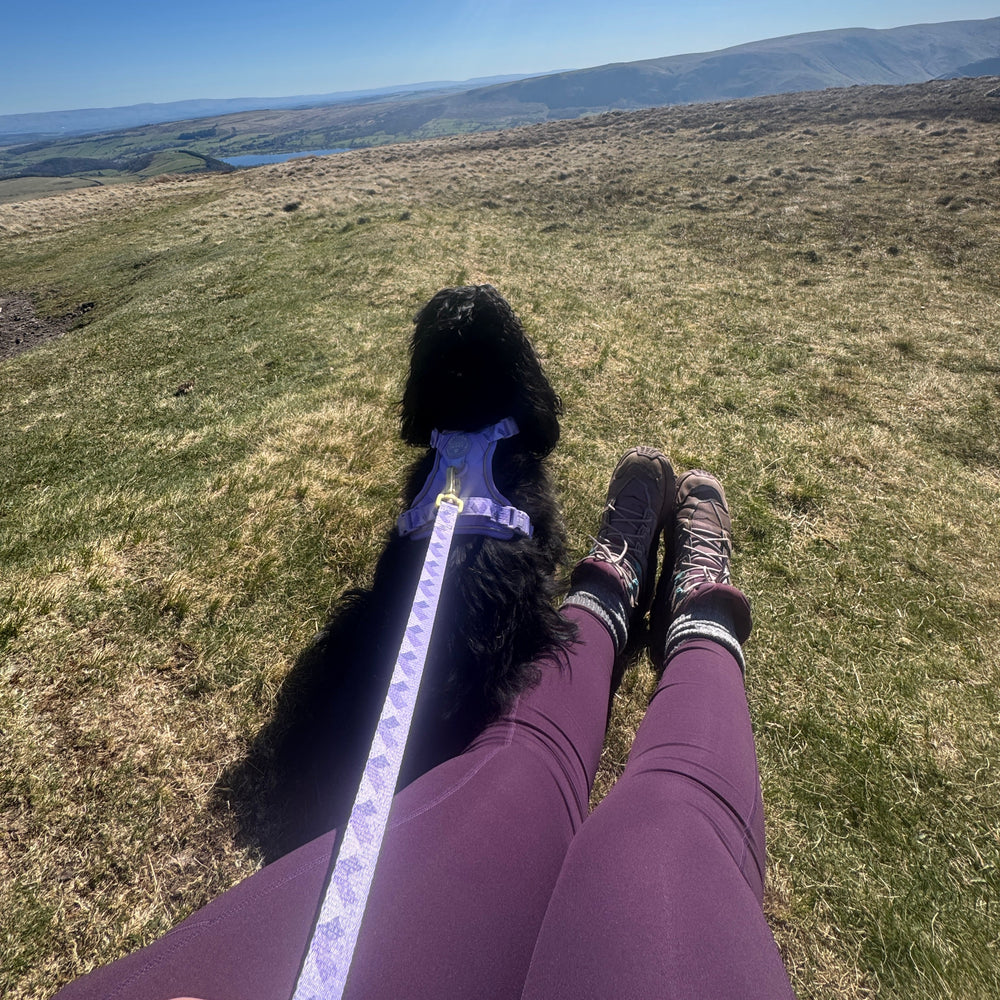 Walkies Ready® Leggings - Plum