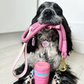 Disney© 4ft Rope Lead - Piglet - Pink