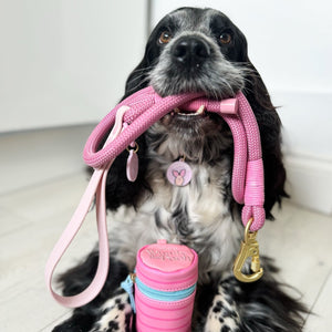 Disney© 4ft Rope Lead - Piglet - Pink