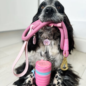 Disney© Treat Pouch - Piglet