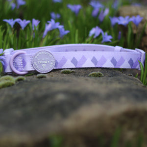 Collar - Walkies Ready® Lavender Lilac