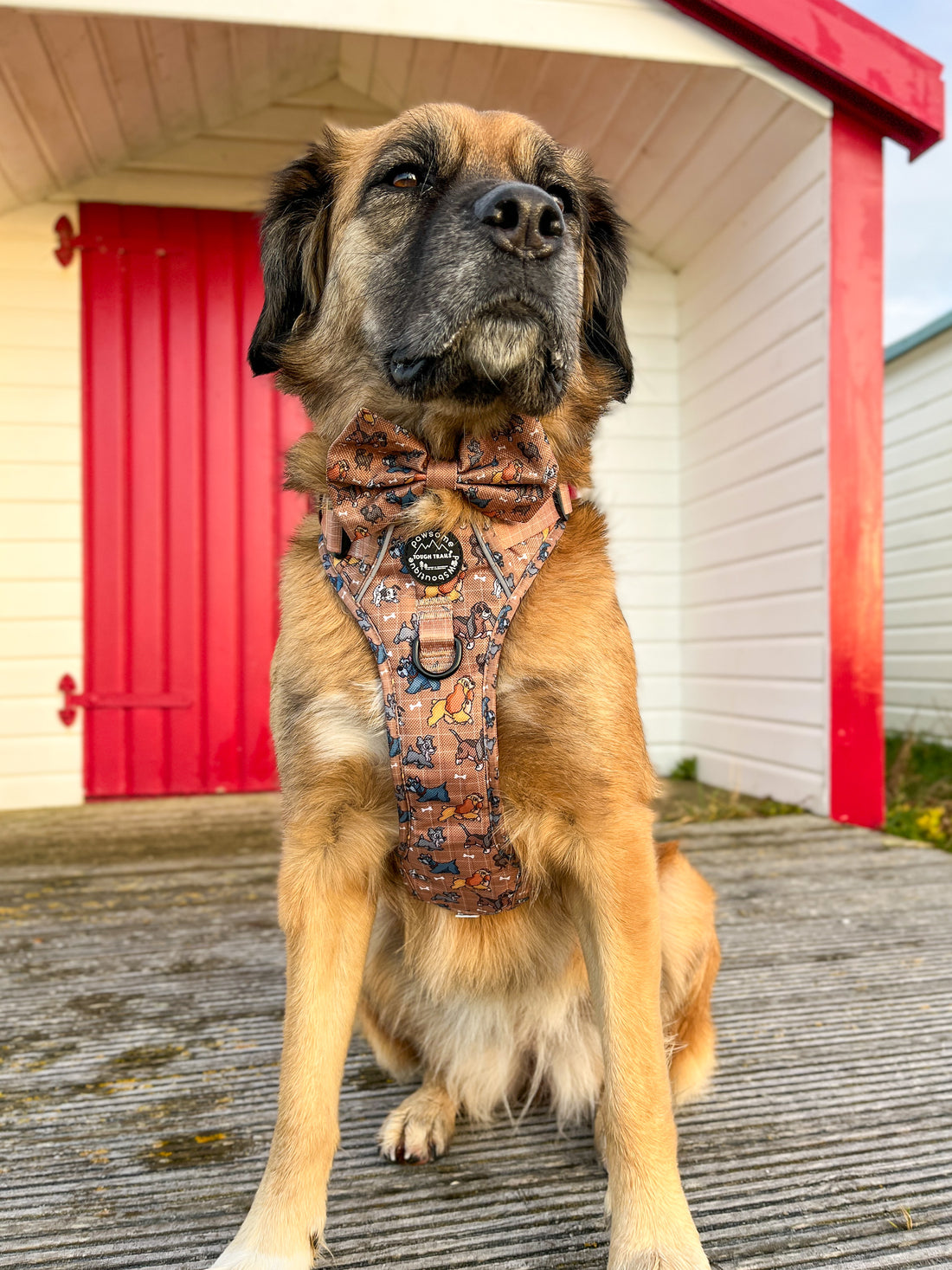 Disney© Bow Tie - Disney Dogs