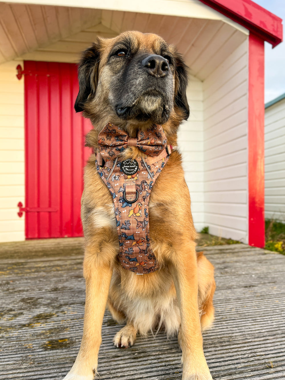 Disney© Bow Tie - Disney Dogs