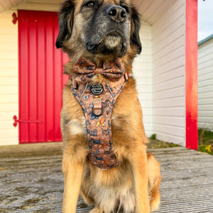 Disney© Bow Tie - Disney Dogs