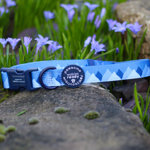 Collar - Walkies Ready® Cornflower Blue