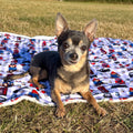 Paddington™ Dog Blanket - London