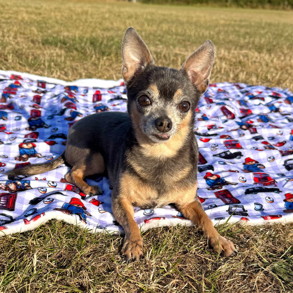 Paddington™ Dog Blanket - London
