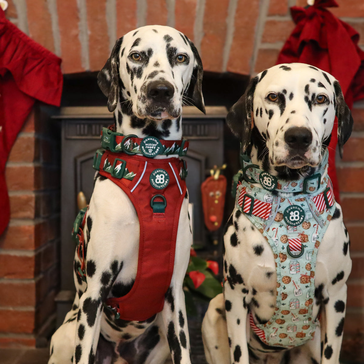 CHRISTMAS-image