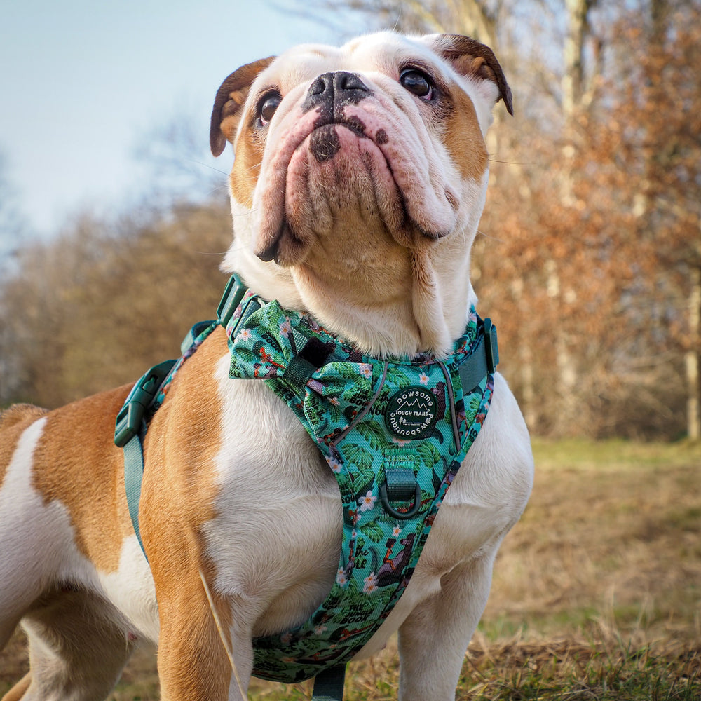 Disney© Bow Tie - Jungle Book