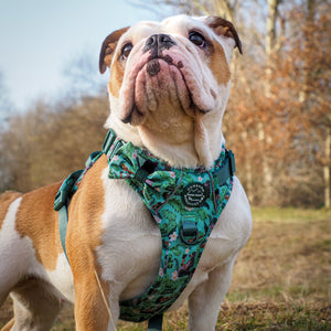 Disney© Bow Tie - Jungle Book