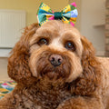 Bow Tie - Patchwork
