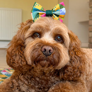 Bow Tie - Patchwork