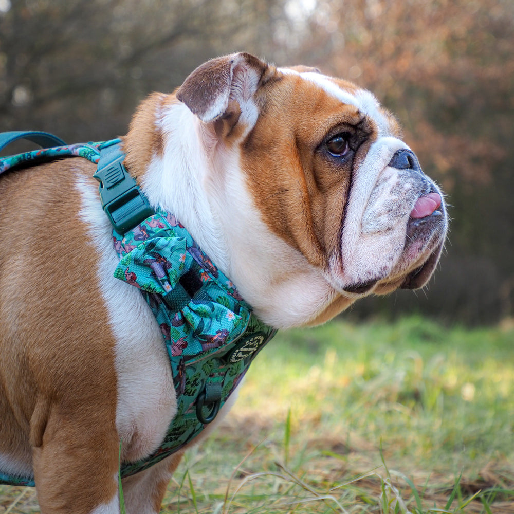 Disney© Bow Tie - Jungle Book