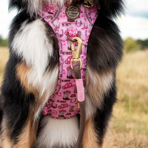 4ft Rope Lead - Brown + Pink