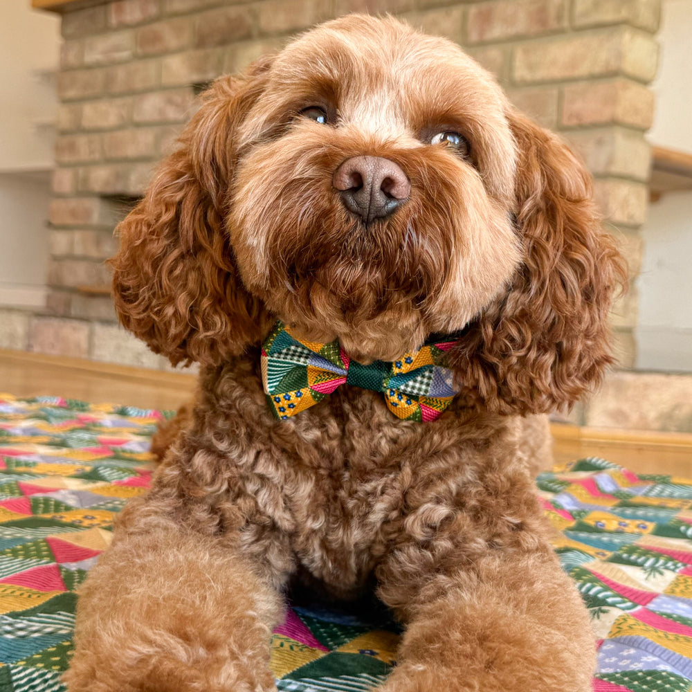 Bow Tie - Patchwork