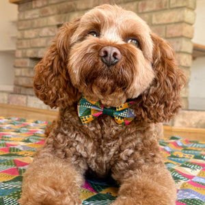 Bow Tie - Patchwork