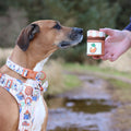 Paddington™ Treat Pouch - Marmalade