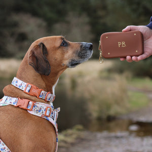 Silicone Treat Pouch - Paddington™ Suitcase
