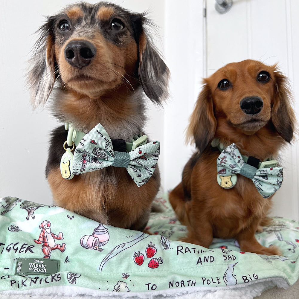 Disney© Bow Tie - 100 Aker Wood