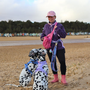 Handsfree Lead - Walkies Ready® Cornflower Blue