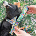 Poo Bag Holder - Patchwork