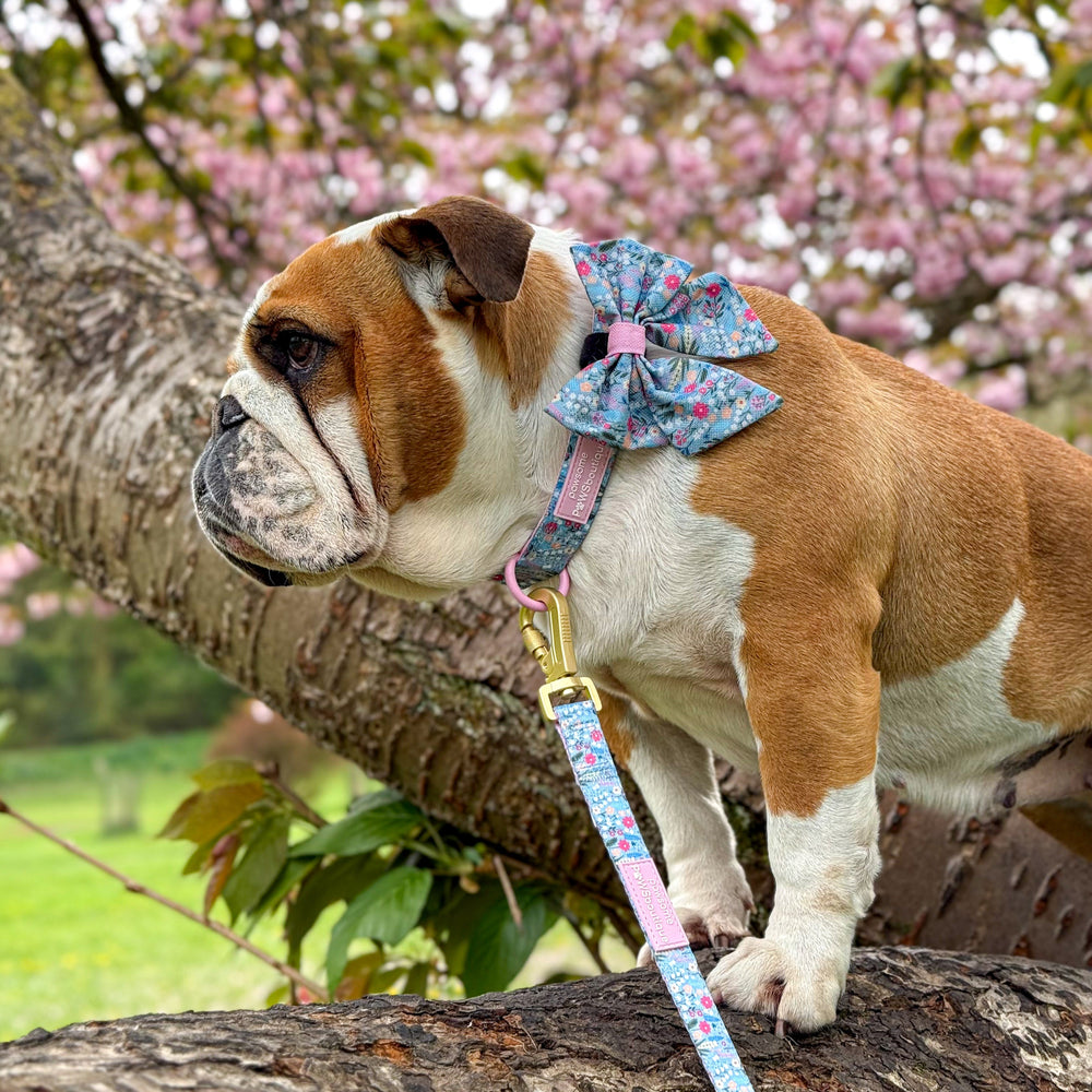 Sailor Bow - Whimsical Wildflowers