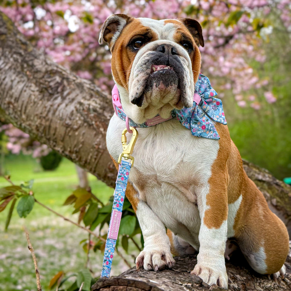 Lead - Whimsical Wildflowers