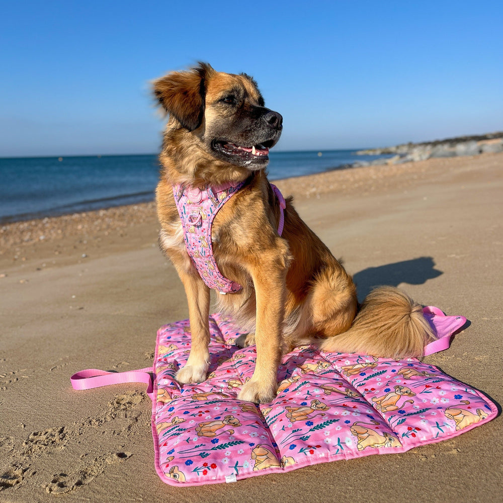 Disney© Travel Mat - Nala