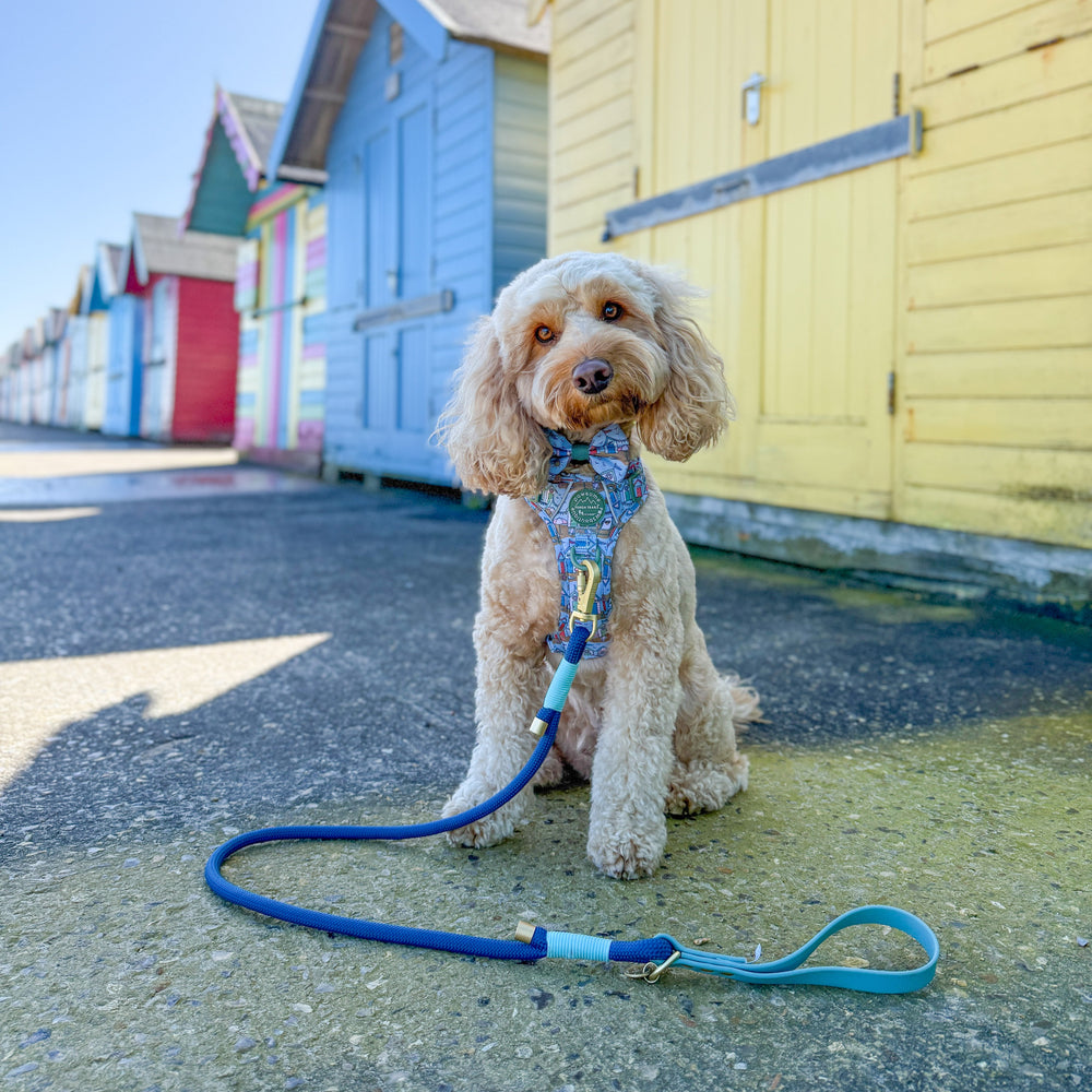 4ft Rope Lead - Royal Blue